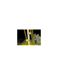 1 tiras adherentes verdes wolfcraft     3285000 2